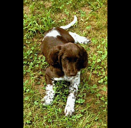 lucy190902aa.jpg (92332 Byte)