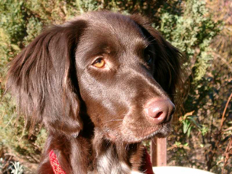 meine Aktivitäten in 2004 und bis März 2005