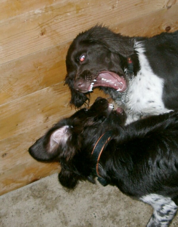 mit meiner Schwester Angie und Bildern mit meiner Mama Quista