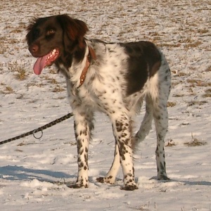 Ayla, die Tochter Luzys: La Grande Filoue