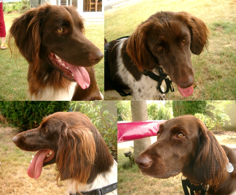 Wie Ayla, Anny, Taira, Atze, Nino, Archie + Luzy gewachsen sind