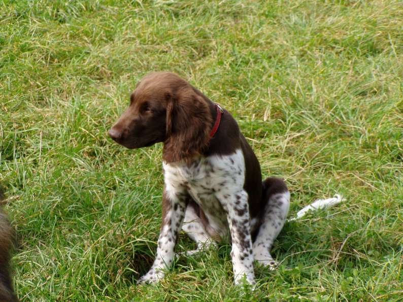 Lucy wächst - click click