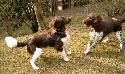 Aaron und Luzy bei der Verlobung