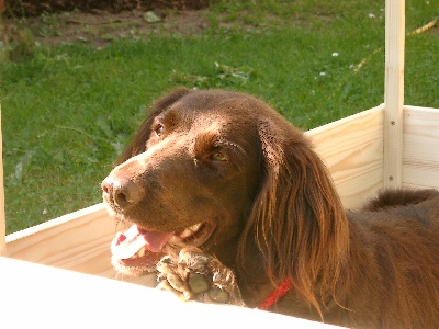 Probeliegen, das erste