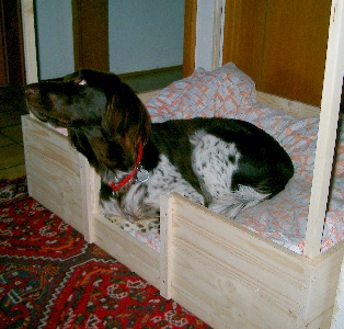 das zweite Probeliegen