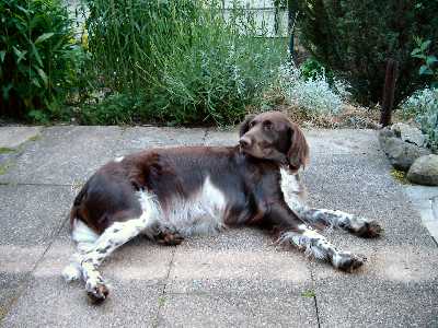 am 15. Juni 2005 - 7. Woche