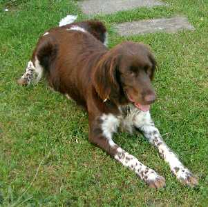 am 20.06.05 - Anfang der 8. Woche