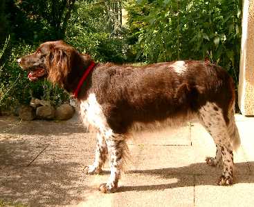 am 22.06.05 - jetzt geht's schnell