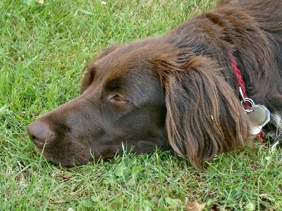 am 24.06.05 - Temperatur fällt