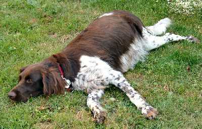 am 23.06.05 - die Körpertemperatur ist bei 38 Grad; es ist ja auch erst der 57. Tag