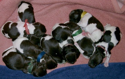 alle Neune, 3 m, 6 w