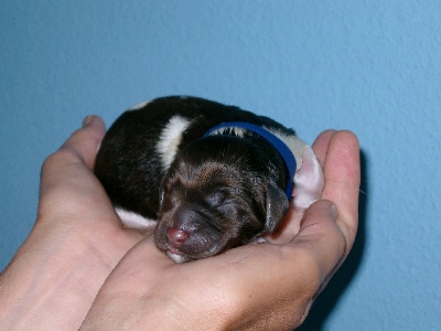 KLM_Mann nach der Geburt