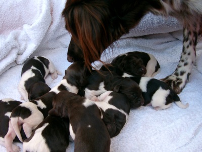 na, gehts euch denn gut am 2.7.2005