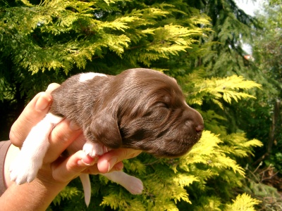 Alfred eine Woche später