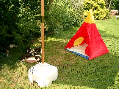 Das ist der Freilauf im Garten.