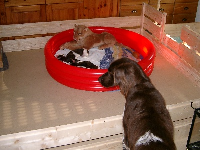 Die Barrikaden wurden erhöht.