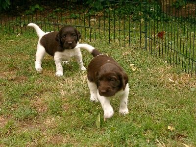 Alisha & Annamirl am 21.07.2005