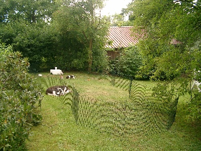 Der Außen-Zwinger vergrößert