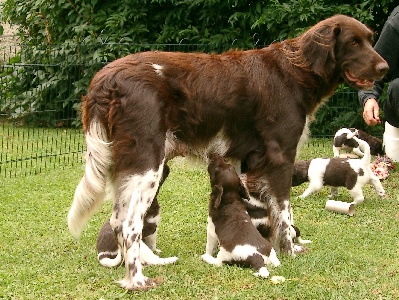 Im Sitzen säugend mit Annamirl et.al.