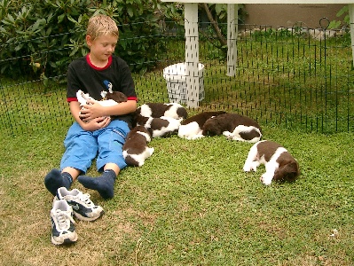 Alexander, unser Babysitter