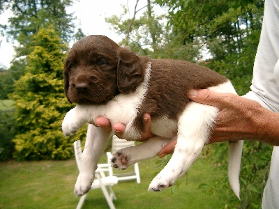 Alfred am 24.07.2005, Ende der vierten Woche (28ter Tag)