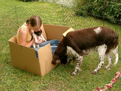 Yvonne, die Hilfsmama für Luzy