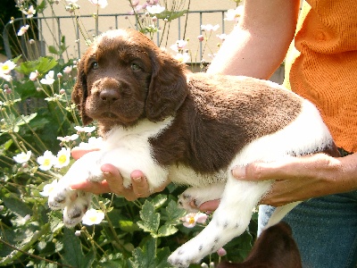 Alfred am 35ten Tag, 31.07.05