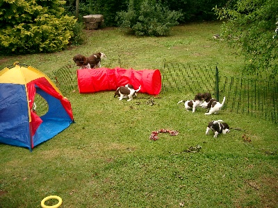 nach dem ersten Umzug letzte Woche