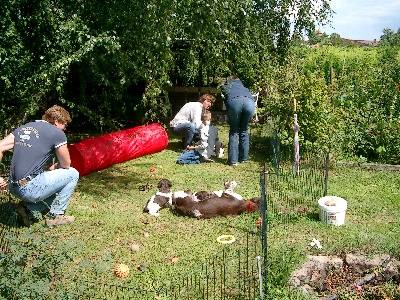 Blick auf die Promenade, im Hintergrund der Palastbau