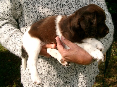 Alfred zu Beginn der 7. Woche - 43ter Tag