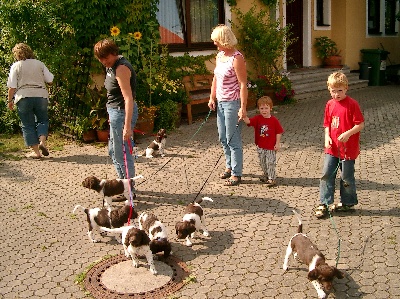 Kuddelmuddel beim ersten gemeinsamen an der Leine geführt werden
