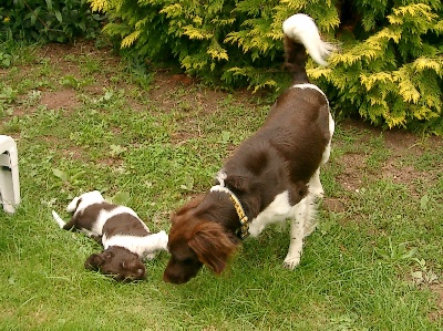 Vater Aaron mit Archie, 14.08.05