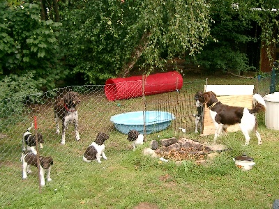 Vater Aaron bei der Meute am 13.08.05