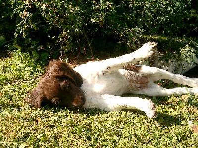 Nach dem Festschmaus