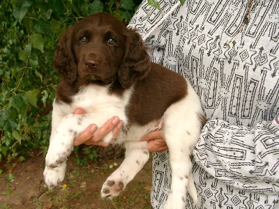 Alfred, am 49. Tag, Anfang achte Woche, 14.8.05