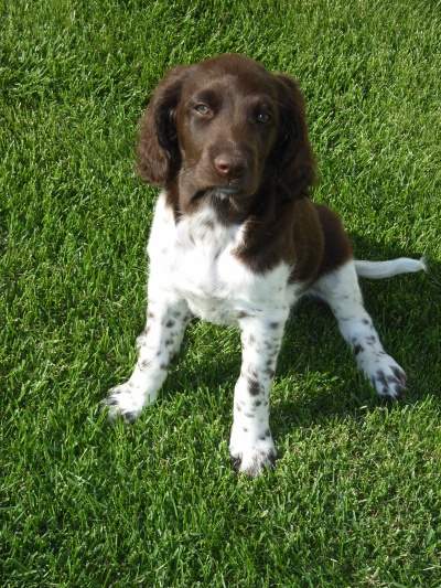 Anny am 1.9.2005 in der neuen Heimat