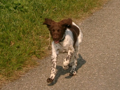 Ayla am 24.09.05 am Ende der 13. Woche