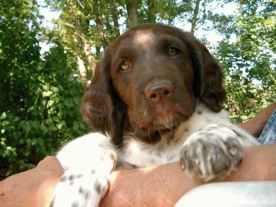 Aktivitäten und Dösen in der achten Woche