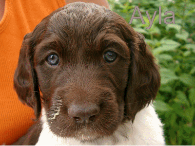 alle Neune mit fünf Wochen, 31.07.2005