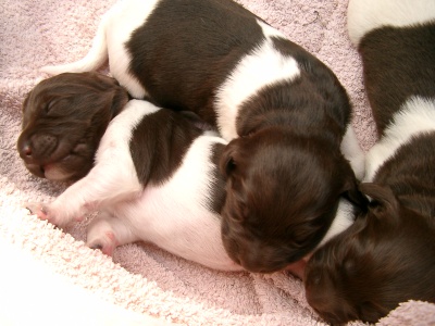 Drei von der Neunenbande am 3.7.2005