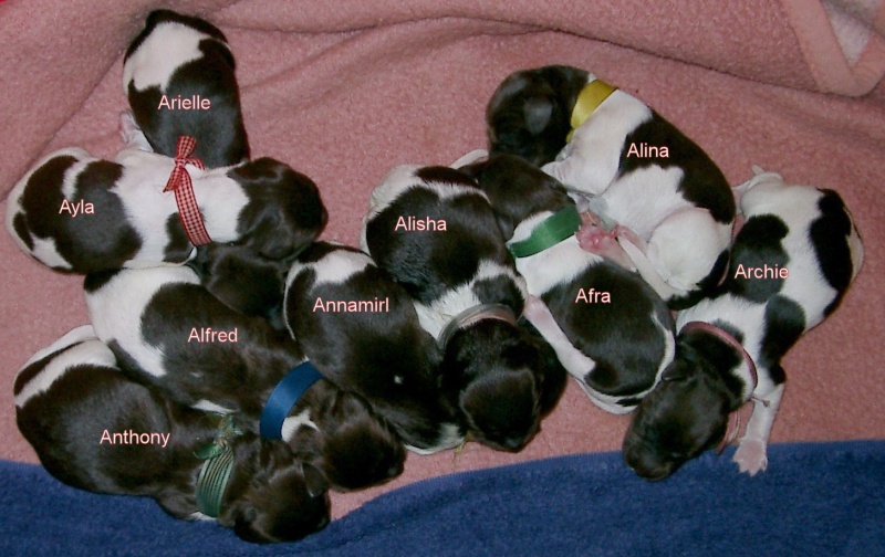 Am 27.06.2005 war unser aller Namenstag